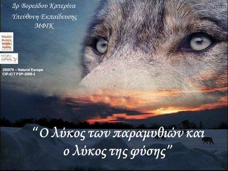 “Ο λύκος των παραμυθιών και ο λύκος της φύσης ”
