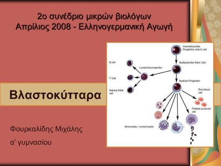Βλαστοκύτταρα Φουρκαλίδης Μιχάλης α’ γυμνασίου 2ο συνέδριο μικρών βιολόγων Απρίλιος 2008 - Ελληνογερμανική Αγωγή.