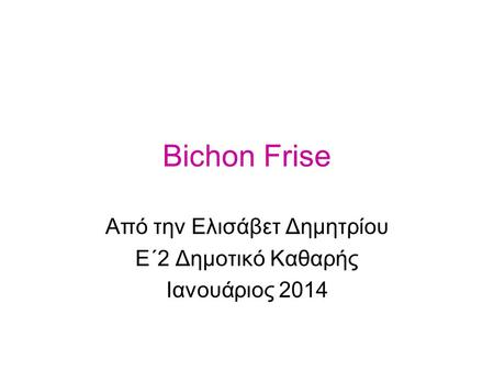 Bichon Frise Από την Ελισάβετ Δημητρίου Ε΄2 Δημοτικό Καθαρής Ιανουάριος 2014.