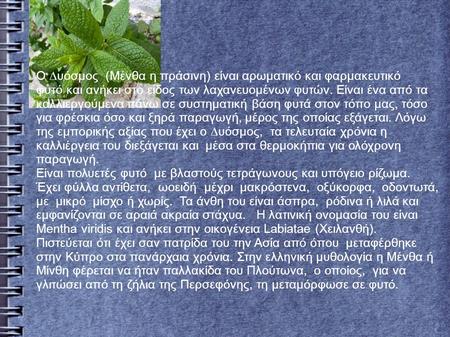 Ο ∆υόσµος (Μένθα η πράσινη) είναι αρωµατικό και φαρµακευτικό φυτό και ανήκει στο είδος των λαχανευοµένων φυτών. Είναι ένα από τα καλλιεργούµενα πάνω σε.