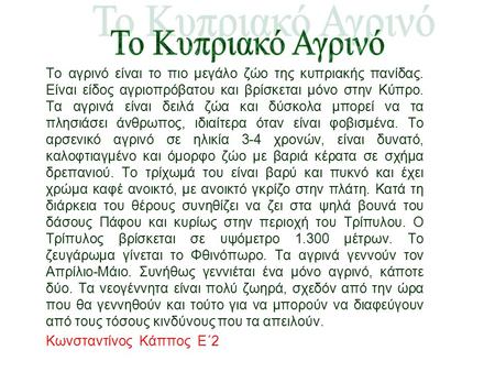 To Κυπριακό Αγρινό Το αγρινό είναι το πιο μεγάλο ζώο της κυπριακής πανίδας. Είναι είδος αγριοπρόβατου και βρίσκεται μόνο στην Κύπρο. Τα αγρινά είναι δειλά.
