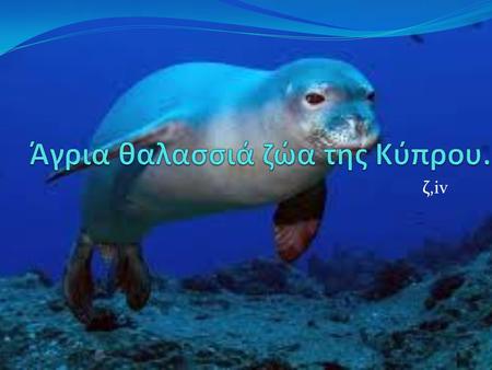 Ζ,iv. Delphinus delphis Βιότοποι : θάλασσα και παράλια. Μέγεθος ενήλικα : 1.5-2.4 μέτρα. Ζει μέχρι 40 χρόνια.