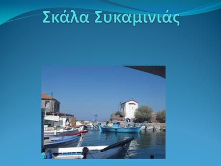 Η Συκαμιά ανήκει στο Δήμο Μηθύμνης και βρίσκεται σε απόσταση 12 χλμ. από τη Μήθυμνα, χτισμένη στις κατάφυτες από πεύκα και πλατάνια πλαγιές του Λεπέτυμνου.