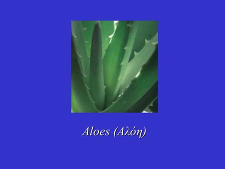 Aloes (Αλόη). Πρόκειται για το στερεό υπόλειμμα, το οποίο παραλαμβάνεται με εξάτμιση του υγρού, που προέρχεται από τα κομμένα φύλλα των φυτών του γένους.