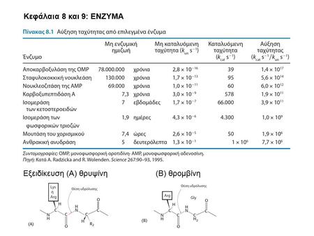 Κεφάλαια 8 και 9: ΕΝΖΥΜΑ Εξειδίκευση (Α) θρυψίνη (Β) θρομβίνη.