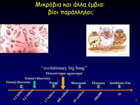 1 Μικρόβια και άλλα έμβια: βίοι παράλληλοι; 3.5 billion Gram(-)bacteria 3.4 billion Fungi 1.7 billion 65 million 250,000 70 Gram(+)bacteria MammalsHumans.
