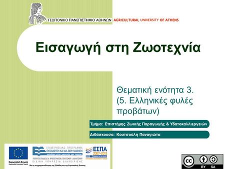 Εισαγωγή στη Ζωοτεχνία Θεματική ενότητα 3. (5. Ελληνικές φυλές προβάτων) Τμήμα: Επιστήμης Ζωικής Παραγωγής & Υδατοκαλλιεργειών Διδάσκουσα: Κουτσούλη Παναγιώτα.