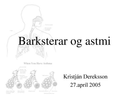 Kristján Dereksson 27.apríl 2005