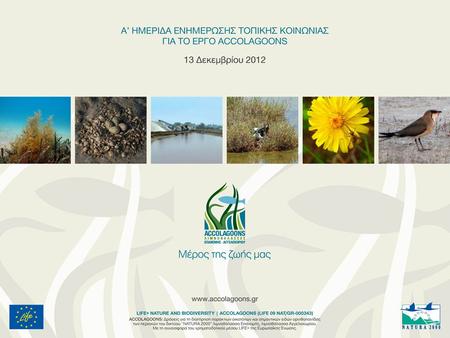 Έργου LIFE 09 (NAT/GR/000343) “Δράσεις για τη διατήρηση παράκτιων οικοτόπων και σημαντικών ειδών ορνιθοπανίδας των περιοχών του δικτύου “Natura 2000” Λ/Θ.