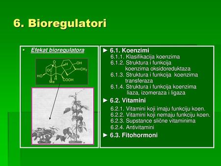 6. Bioregulatori ► 6.1. Koenzimi ► 6.2. Vitamini