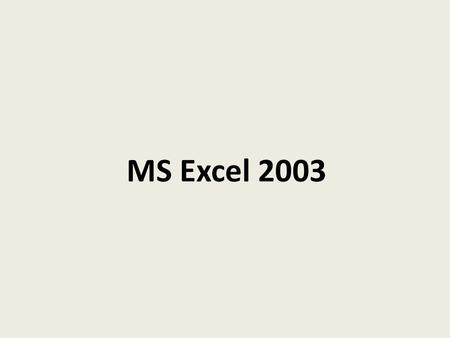 MS Excel 2003.