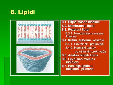 8. Lipidi 8.1. Biljne masne kiseline 8.2. Membranski lipidi