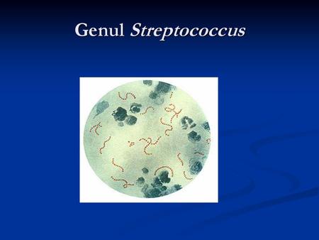 Genul Streptococcus.