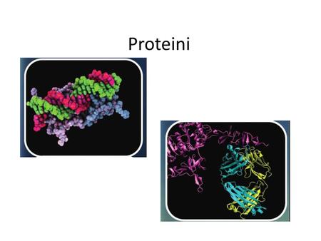 Proteini.