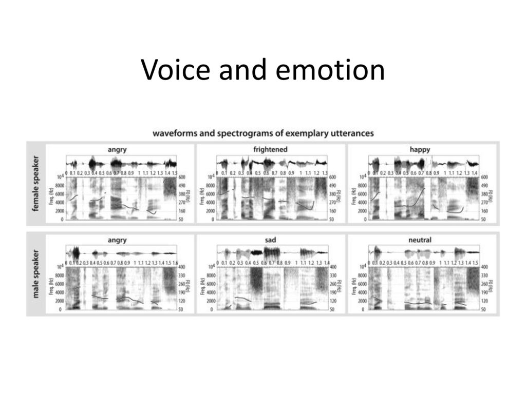 Voice and emotion
