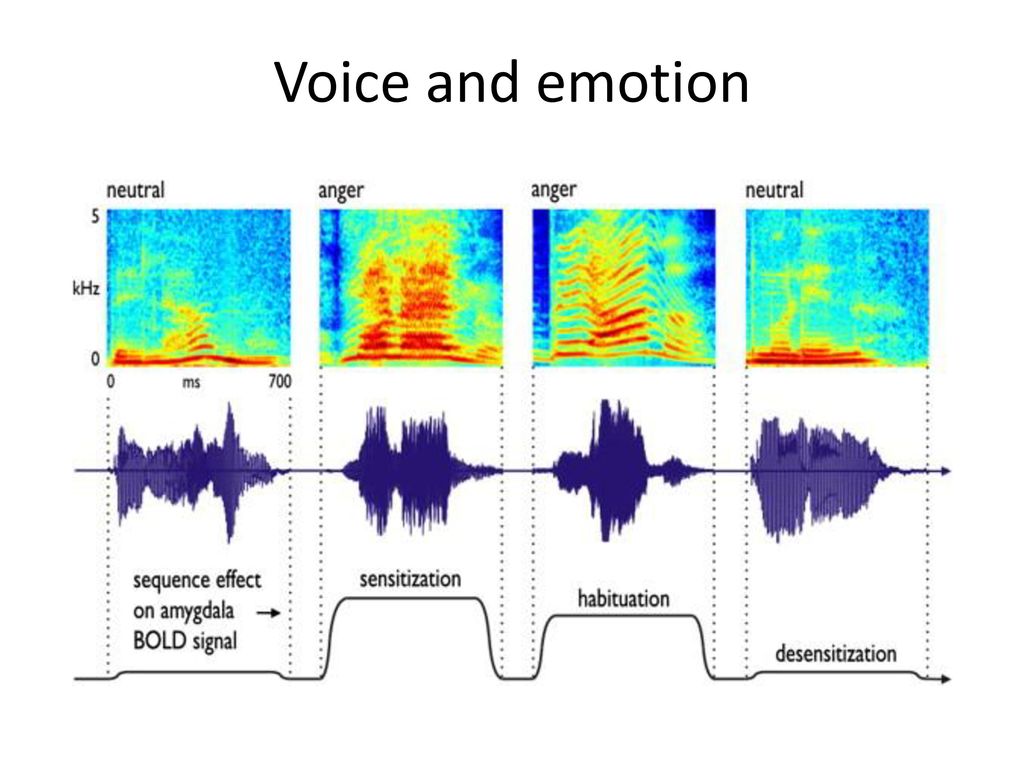 Voice and emotion