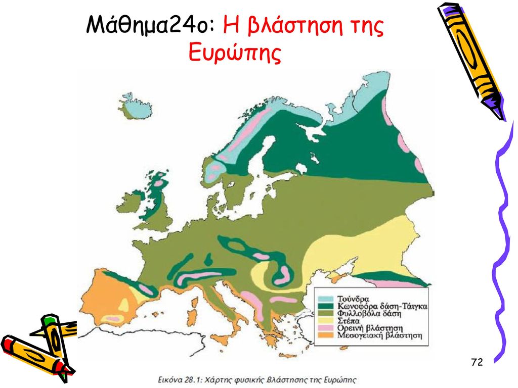 Μάθημα24ο: Η βλάστηση της Ευρώπης