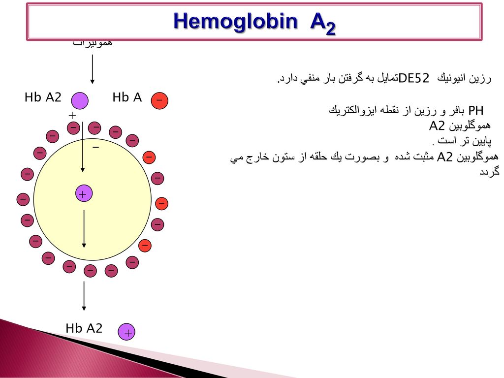 Hemoglobin A2 همولیزات رزين انيونيك DE52 تمايل به گرفتن بار منفي دارد.