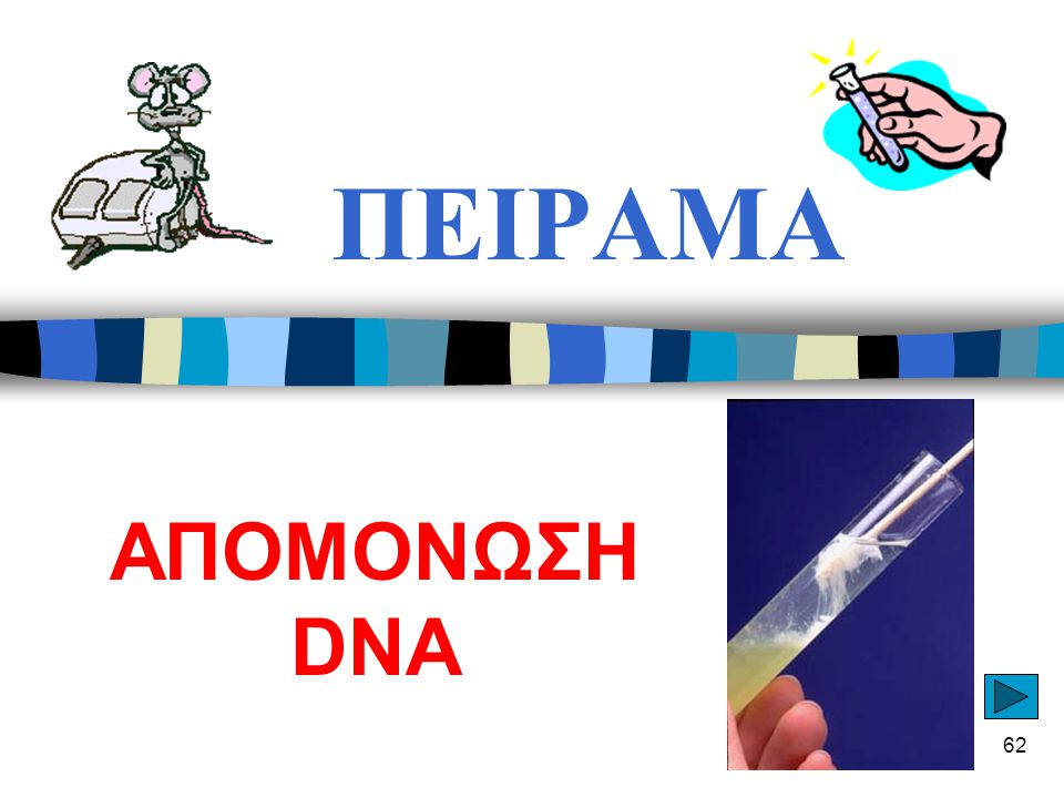 ΠΕΙΡΑΜΑ ΑΠΟΜΟΝΩΣΗ DNA