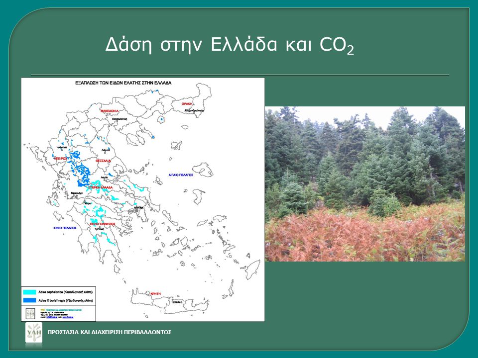 Δάση στην Ελλάδα και CO2 ΠΡΟΣΤΑΣΙΑ ΚΑΙ ΔΙΑΧΕΙΡΙΣΗ ΠΕΡΙΒΑΛΛΟΝΤΟΣ