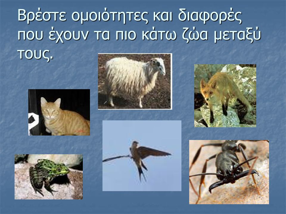 Βρέστε ομοιότητες και διαφορές που έχουν τα πιο κάτω ζώα μεταξύ τους.