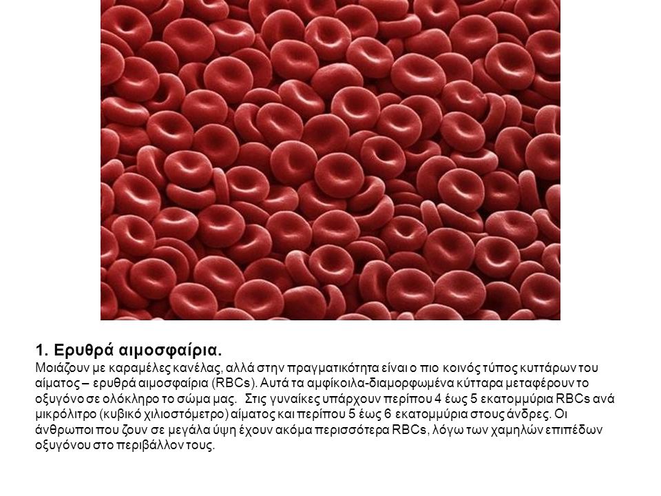 1. Ερυθρά αιμοσφαίρια.
