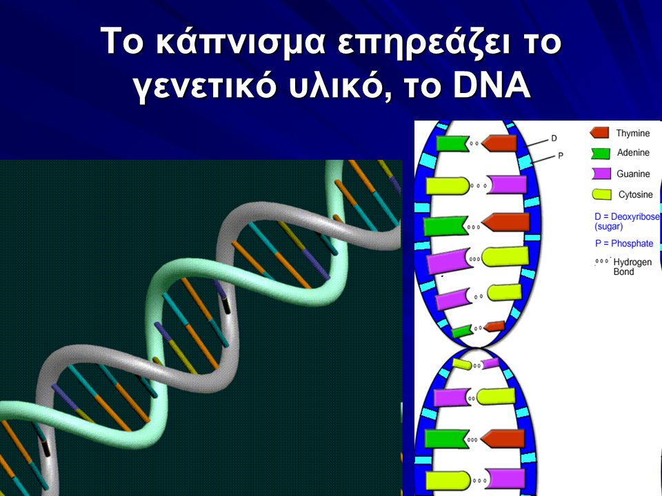 Το κάπνισμα επηρεάζει το γενετικό υλικό, το DNA