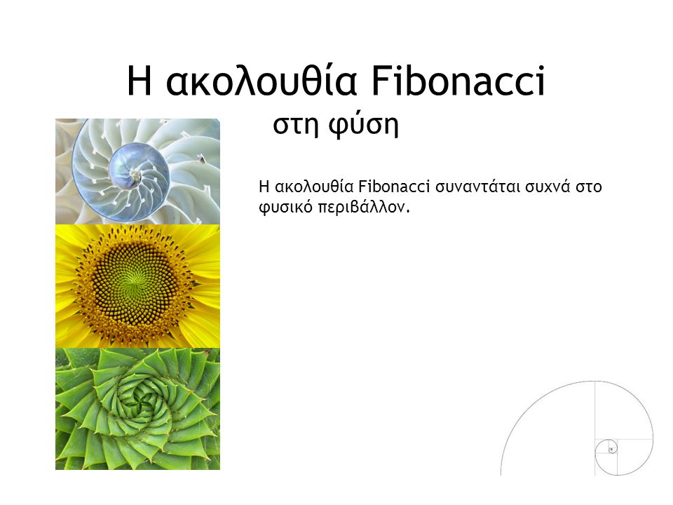 Η ακολουθία Fibonacci στη φύση