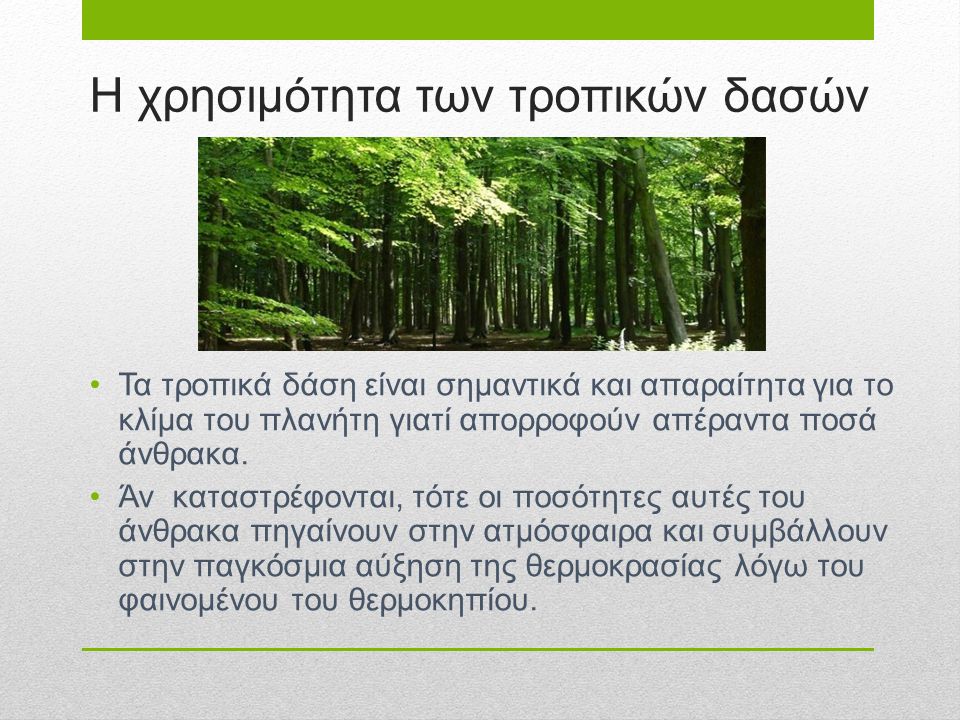 Η χρησιμότητα των τροπικών δασών