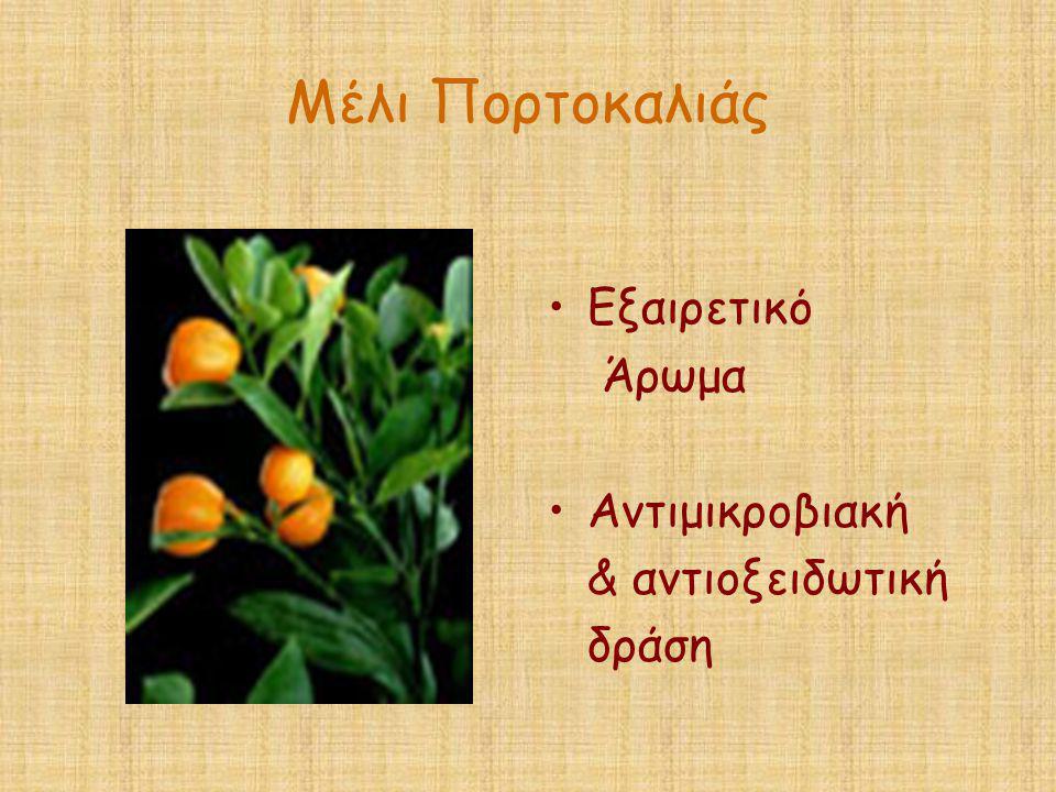 Μέλι Πορτοκαλιάς Εξαιρετικό Άρωμα Αντιμικροβιακή & αντιοξειδωτική