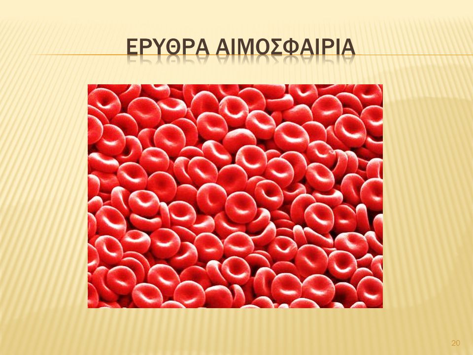 Ερυθρα αιμοσφαιρια