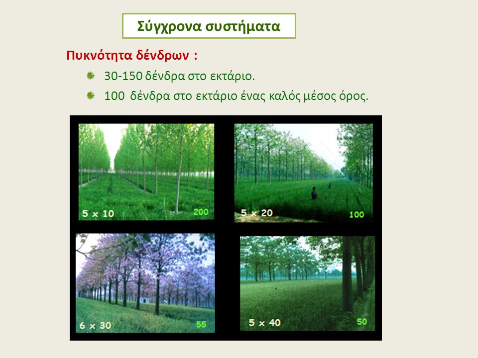 Σύγχρονα συστήματα Πυκνότητα δένδρων : δένδρα στο εκτάριο.