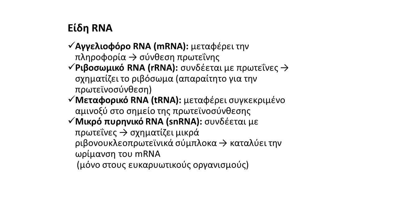 Είδη RNA Αγγελιοφόρο RNA (mRNA): μεταφέρει την πληροφορία → σύνθεση πρωτεΐνης.