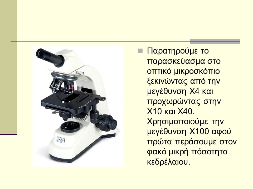 Παρατηρούμε το παρασκεύασμα στο οπτικό μικροσκόπιο ξεκινώντας από την μεγέθυνση Χ4 και προχωρώντας στην Χ10 και Χ40.