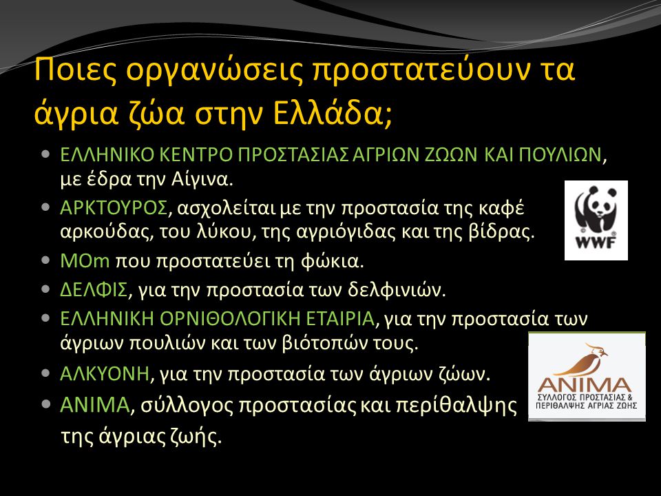 Ποιες οργανώσεις προστατεύουν τα άγρια ζώα στην Ελλάδα;