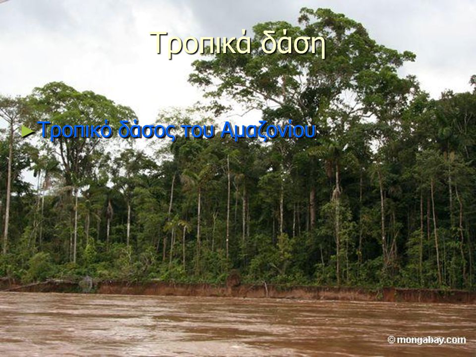 Τροπικά δάση Τροπικό δάσος του Αμαζονίου Τροπικό δάσος του Αμαζονίου