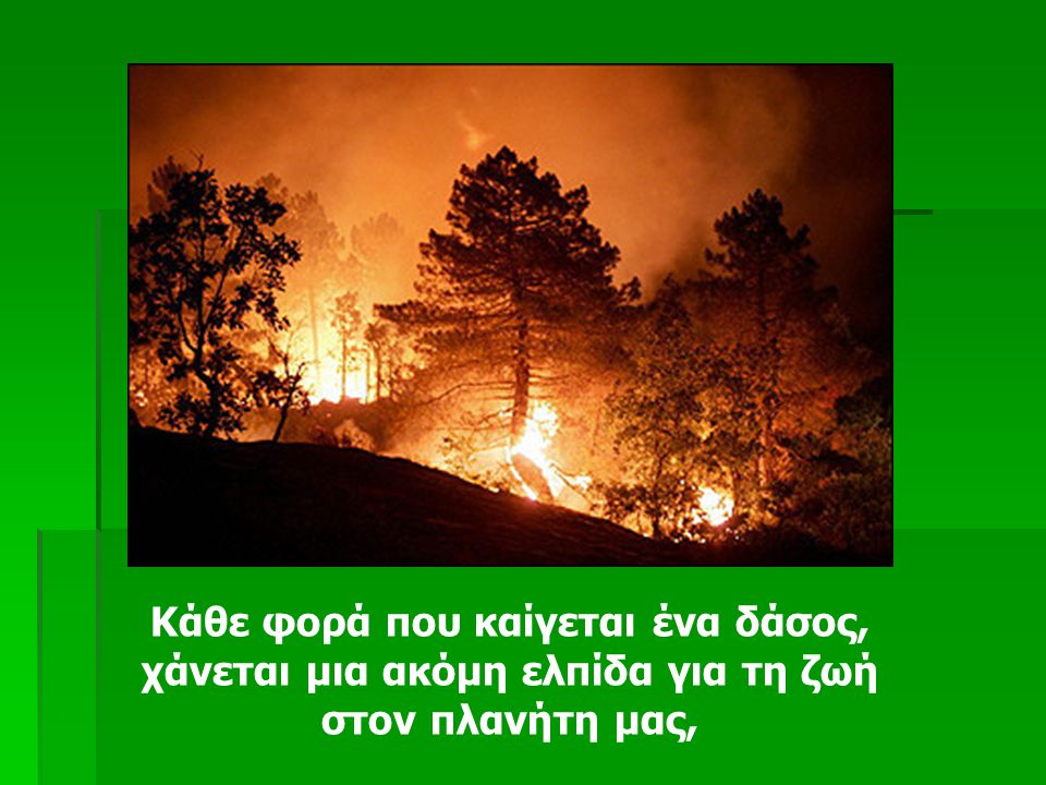 Κάθε φορά που καίγεται ένα δάσος, χάνεται μια ακόμη ελπίδα για τη ζωή στον πλανήτη μας,