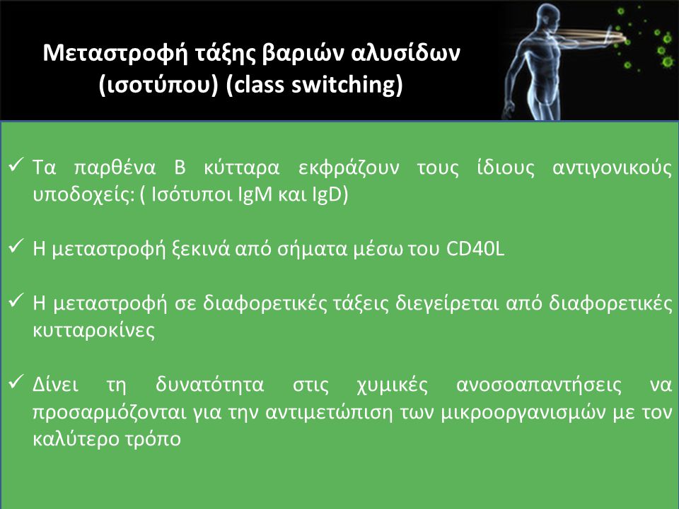 Μεταστροφή τάξης βαριών αλυσίδων (ισοτύπου) (class switching)