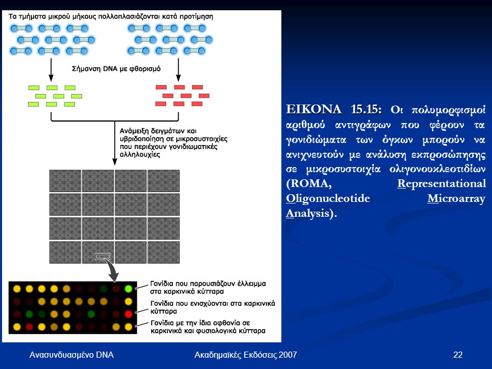 ΕΙΚΟΝΑ 15.15: Οι πολυμορφισμοί αριθμού αντιγράφων που φέρουν τα γονιδιώματα των όγκων μπορούν να ανιχνευτούν με ανάλυση εκπροσώπησης σε μικροσυστοιχία ολιγονουκλεοτιδίων (ROMA, Representational Oligonucleotide Microarray Analysis).