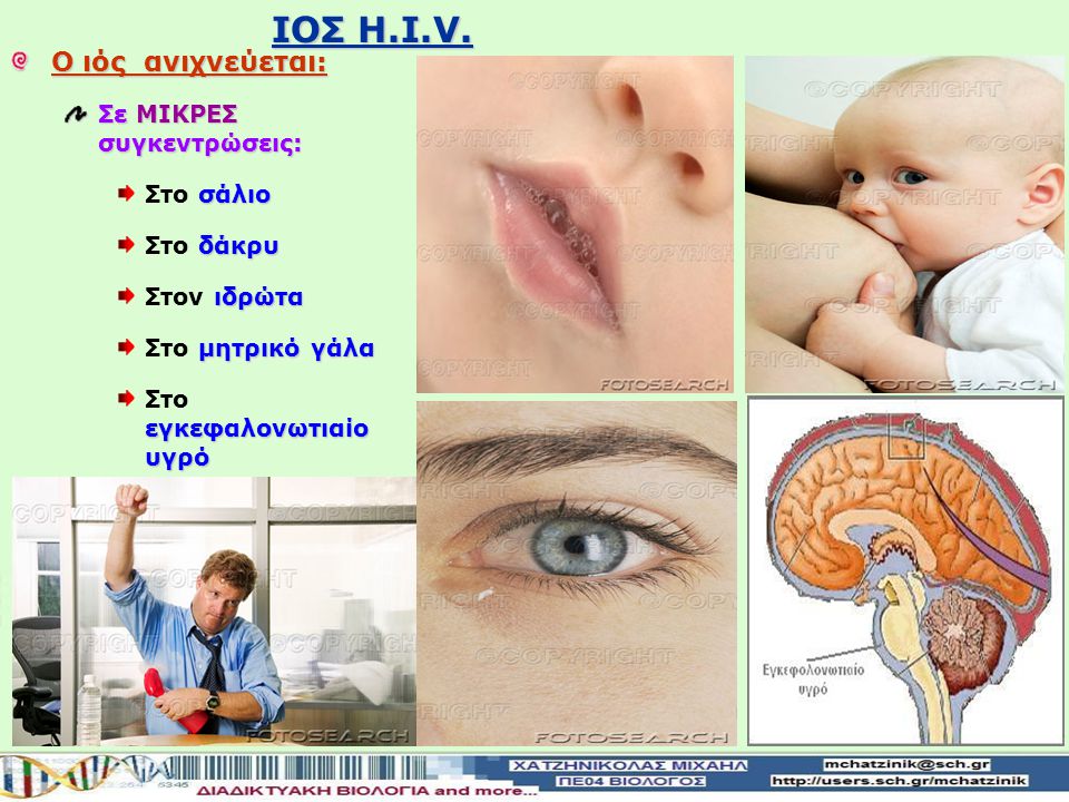 IOΣ H.I.V. Ο ιός ανιχνεύεται: Σε ΜΙΚΡΕΣ συγκεντρώσεις: Στο σάλιο