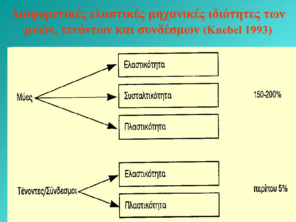Διαφορετικές ελαστικές μηχανικές ιδιότητες των μυών, τενόντων και συνδέσμων (Knebel 1993)