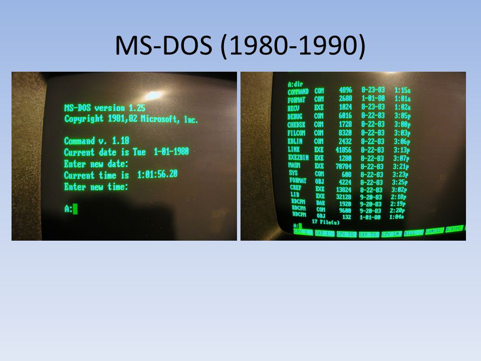 MS-DOS ( )