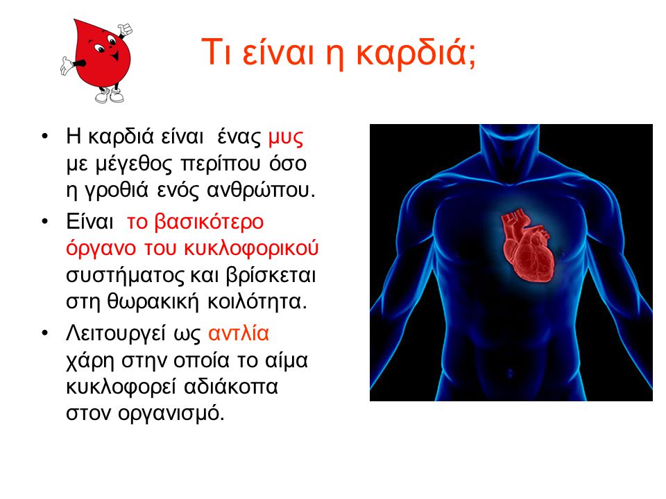 Τι είναι η καρδιά; Η καρδιά είναι ένας μυς με μέγεθος περίπου όσο η γροθιά ενός ανθρώπου.