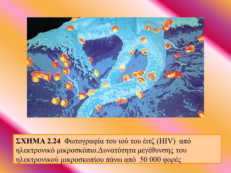 ΣΧΗΜΑ 2.24 Φωτογραφία του ιού του έιτζ (HIV) από ηλεκτρονικό μικροσκόπιο.Δυνατότητα μεγέθυνσης του ηλεκτρονικού μικροσκοπίου πάνω από φορές