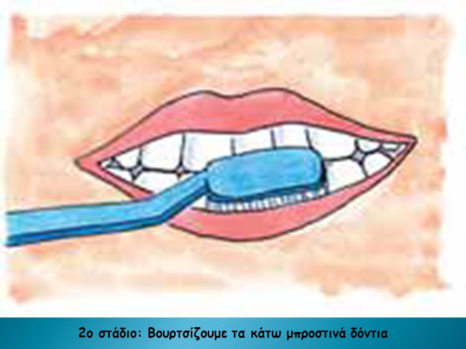 2ο στάδιο: Βουρτσίζουμε τα κάτω μπροστινά δόντια