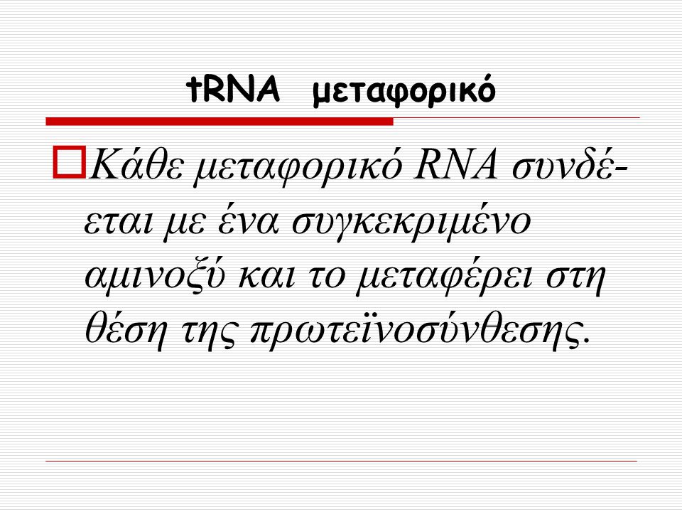tRNA μεταφορικό Κάθε μεταφορικό RNA συνδέ-εται με ένα συγκεκριμένο αμινοξύ και το μεταφέρει στη θέση της πρωτεϊνοσύνθεσης.