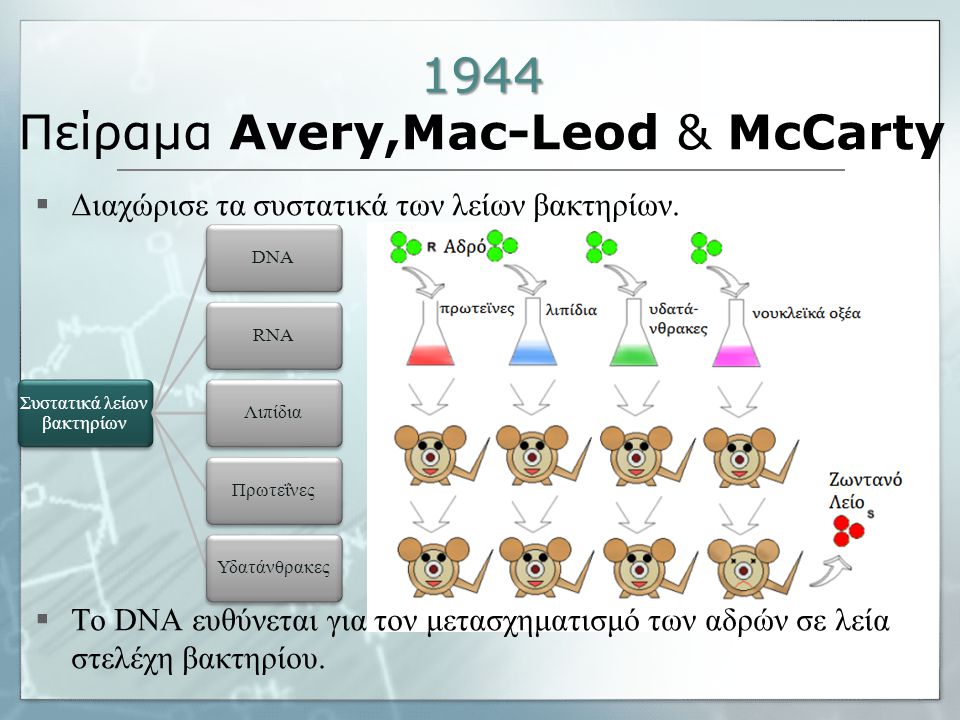 1944 Πείραμα Avery,Mac-Leod & McCarty