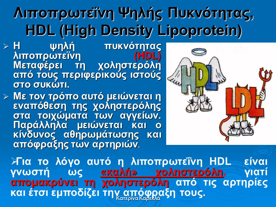 Λιποπρωτεΐνη Ψηλής Πυκνότητας, HDL (High Density Lipoprotein)