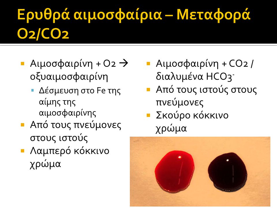 Ερυθρά αιμοσφαίρια – Μεταφορά O2/CO2