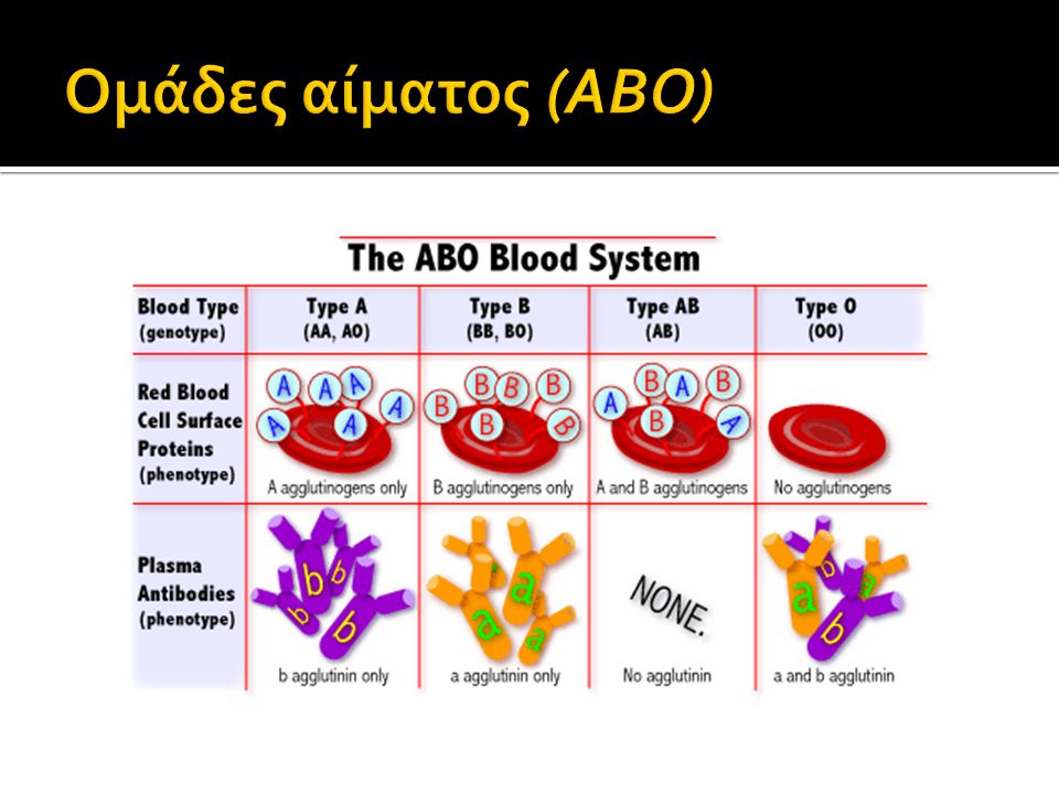 Ομάδες αίματος (ΑΒΟ)